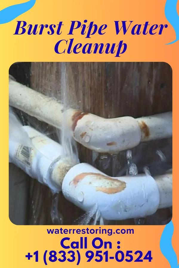 Burst Pipe Water Cleanup in MacArthur, WV