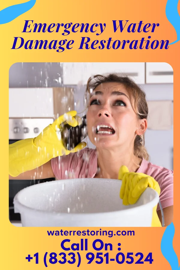 Emergency Water Damage Restoration in MacArthur, WV