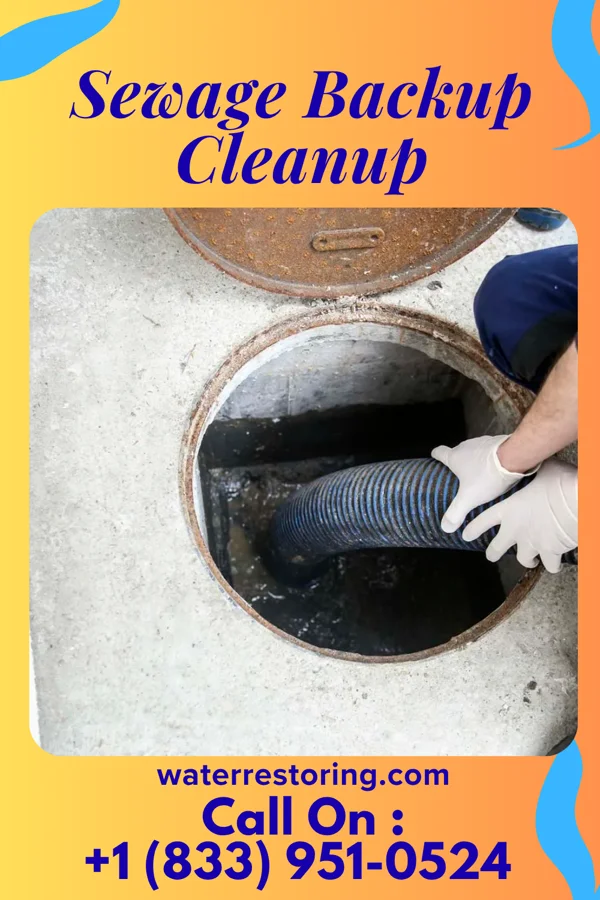 Sewage Backup Cleanup in MacArthur, WV