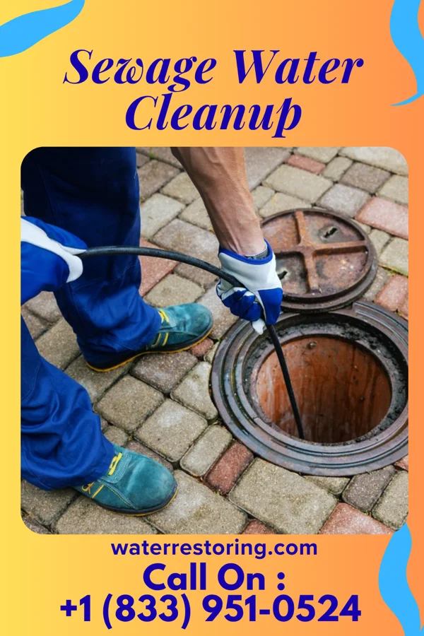 Sewage Water Cleanup in MacArthur, WV