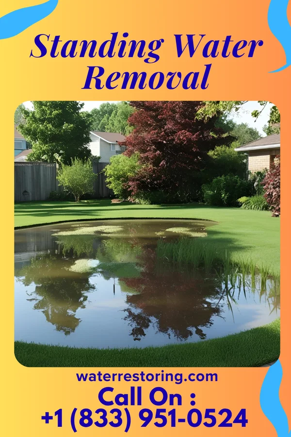 Standing Water Removal in MacArthur, WV